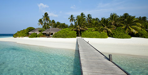 Sunny South Pacific South Pacific Cruises